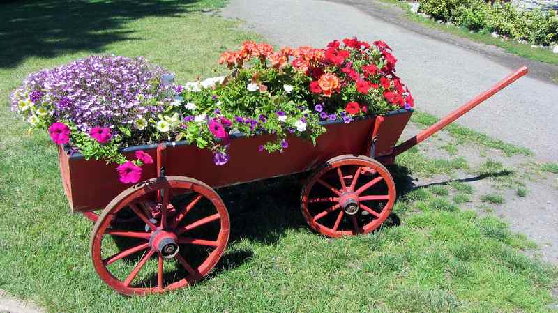 Charette pot de jardin