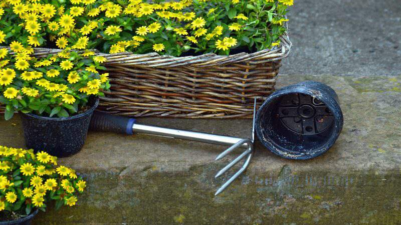 Pot de jardin en panier