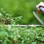 Les atouts des outils sans fil pour l’entretien du jardin